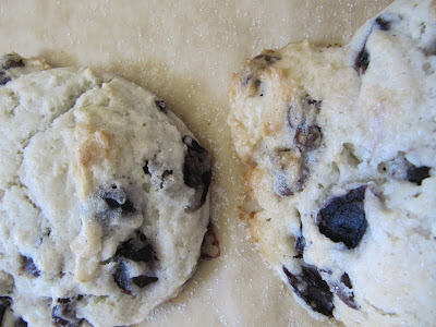 close up top view of two cherry chocolate chip scones on brown parchment.