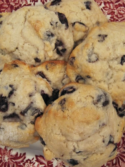 close-up of golden brown cherry chocolate scones on a red and white plate