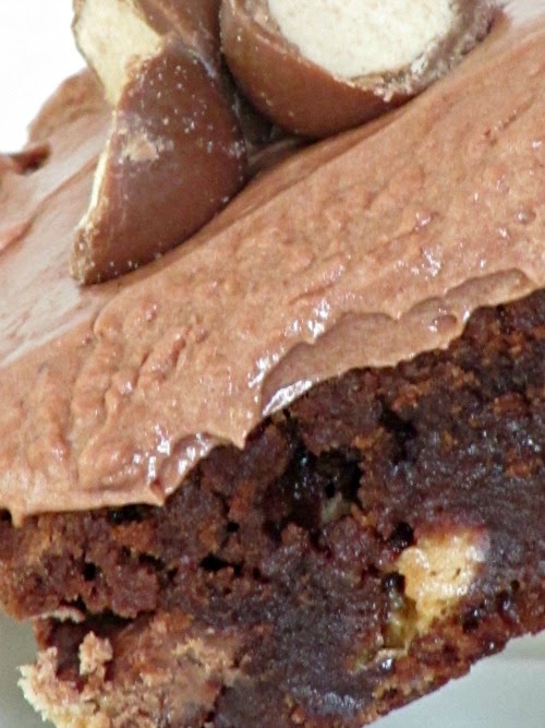 angled closeup of a semi-sweet chocolate brownie with malt buttercream frosting and malt candies inside and on top.