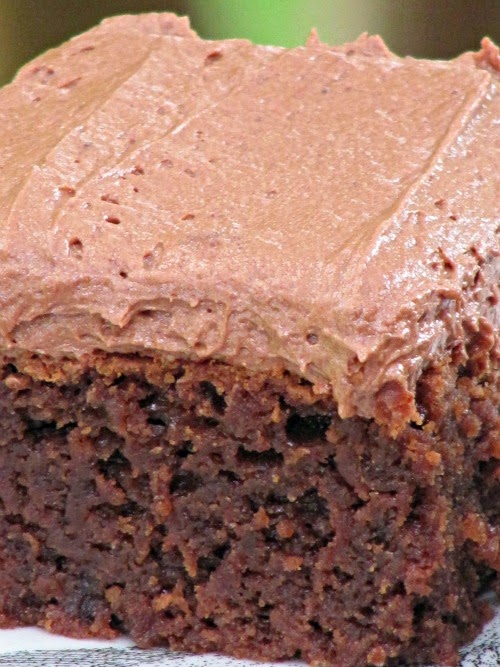 Closeup photo of a large square of Joy the Baker Chocolate Frosted Brownies.