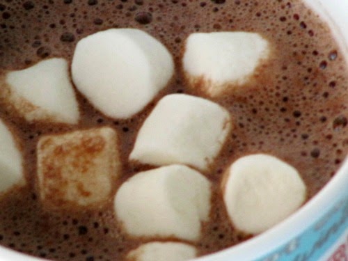 closeup of a cup of traditional hot cocoa made with dark chocolate cocoa powder and heavy cream in a blue mug