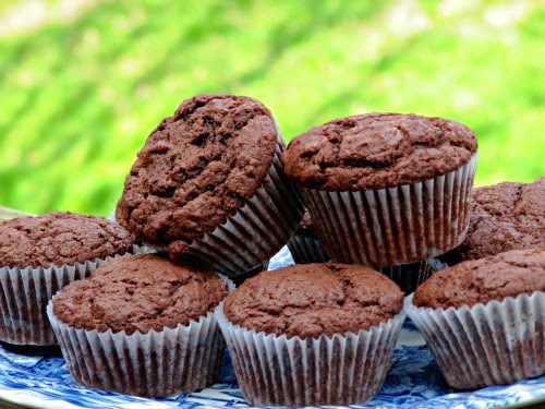 side view of platter of chocolate chocolate chip muffins on a blue and white floral platter against a green background
