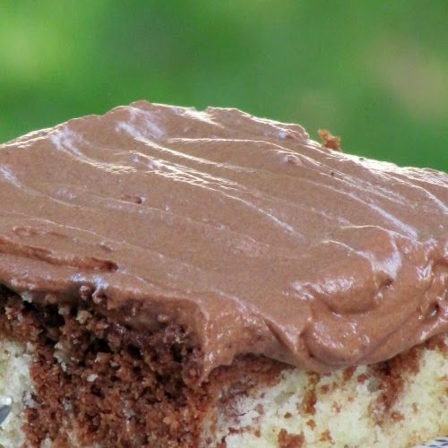 Square of chocolate marble cake with mocha frosting against a green background