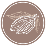 favicon with an image of a cacao bean on a warm brown background.
