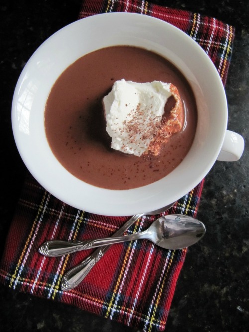 overhead view of a white ceramic cup of decadent rich hot chocolate with a spoonful of whipped cream sitting on a red plaid napkin along with two silver spoons on a dark table
