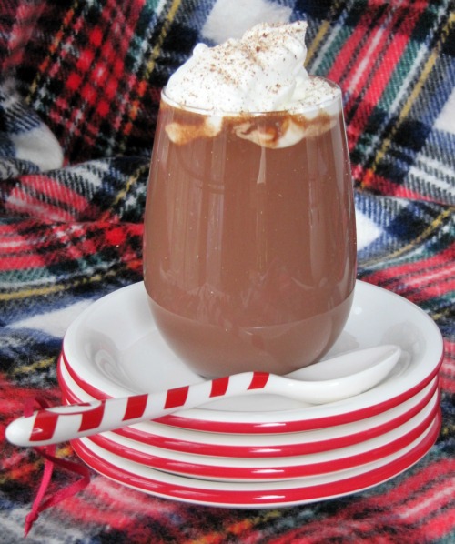 a large glass of hot chocolate topped with eggnog whipped cream sits on a stack of red-rimmed white plates with a red and white stripe spoon resting next ot it. The plates are on a red, black and white plaid background