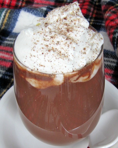 A large glass of hot cocoa topped with a generous portion of rggnog whipped cream for hot chocolate  and a sprinkle of nutmeg sits on a white plate against a red, black and white plaid bckground.