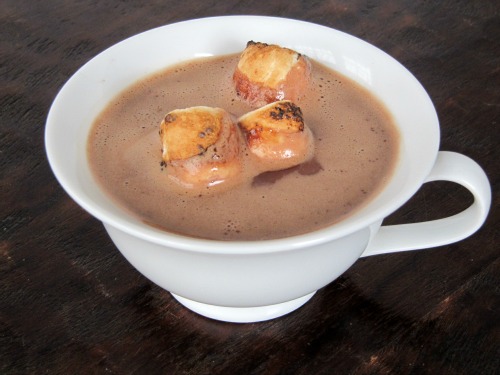 a side view of a white china cup holding a serving of mast brothers classic hot cocoa with toasted marshmallows and melted chocolate shavings against a black background.