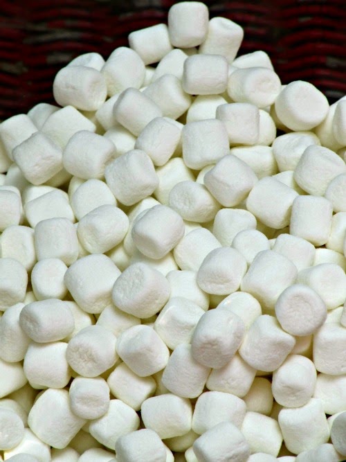 a large pile of mini-marshmallows for making double peanut butter chocolate rice krispie treats are shown against a black background.