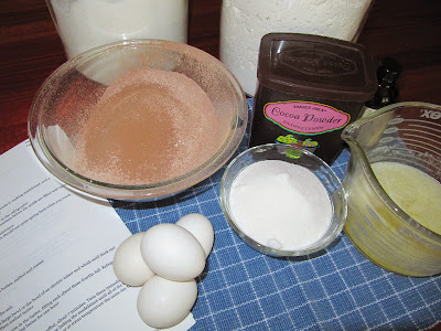Ingredients for making Chocolate Madeleines or Madeleines au Chocolat including cocoa powder, eggs, sugar, and flour.