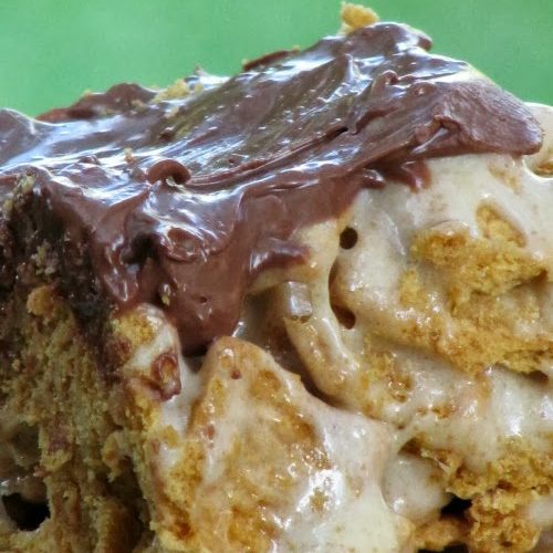A closeup image of a thick s'more cereal treat showing a rich graham cracker cereal and gooey marshmallow center with a glossy melted milk chocolate topping against a green background.