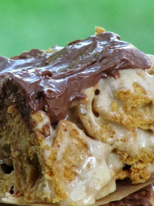 A closeup image of a thick s'more cereal treat showing a rich graham cracker cereal and gooey marshmallow center with a glossy melted milk chocolate topping against a green background.