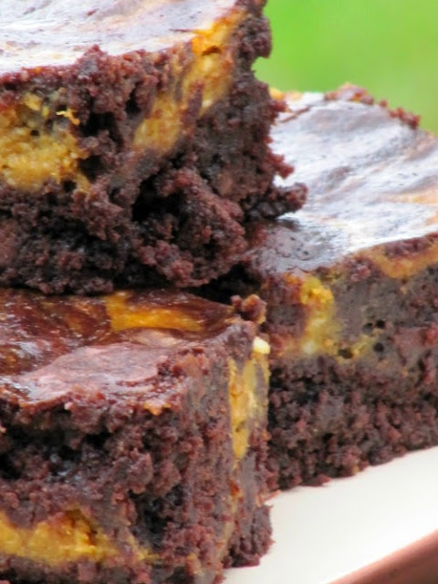 Closeup image of three thick chocolate pumpkin brownies with a rich brownie base and pumpkin cheesecake swirl on top.