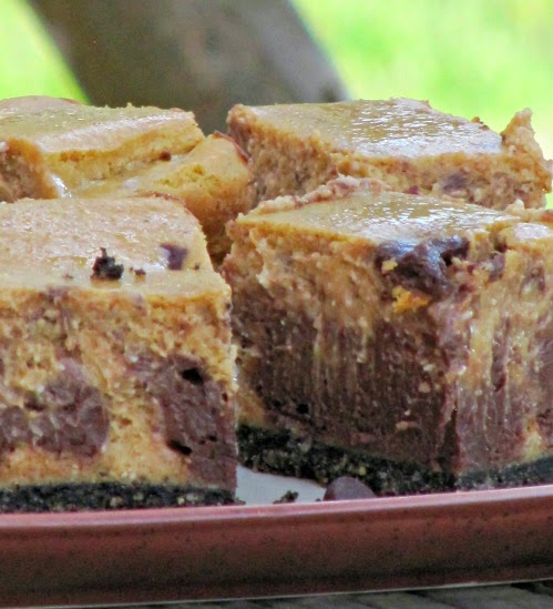 A closeup image of a plate of thick creamy chocolate pumpkin cheesecake bars with swirls of chocolate in a pumpkin cheesecake filling and a chocolate cookie crust.