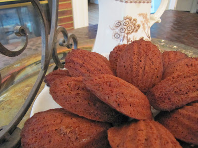 A plate of Chocolate Madeleines or Madeleines au Chocolat on a white plate.