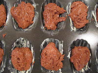 Closeup overhead view of a madeleine tin filled with batter to make Chocolate Madeleines or Madeleines au Chocolat.