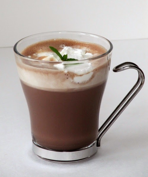 a side view of a glass mug of basil mint hot chocolate with whipped cream on top and a mint leaf garnish against a gray background.