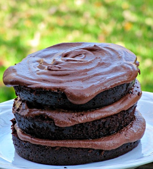 A side view of a "naked-frosted" moist chocolate cake with fudge buttercream frosting in between the three layers and on top, sitting on a white platter against a green background.
