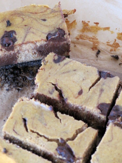 An overhead view of a pan of chocolate pumpkin cheesecake bars cut into rectangles on paarchment paper.
