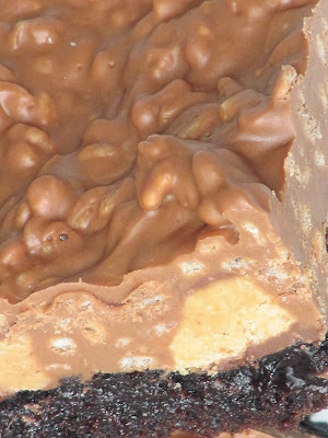 A closeup image of peanut butter cup crunch brownies with a deep chocolate base and a topping made from reese's candy cups, peanut butter and peanuts with rice krispies.