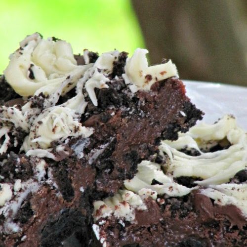 A side view of a white plate holding several triple chocolate Oreo bars, made with Oreo crust, a soft chocolate center and swirls of dark chocolate and white chocolate and Oreo chunks on top.
