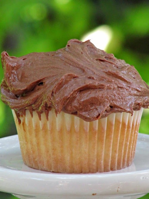 A single vanilla cupcake with mocha buttercream frosting sitting on a white plate against a green background.